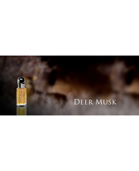 Deer Musk